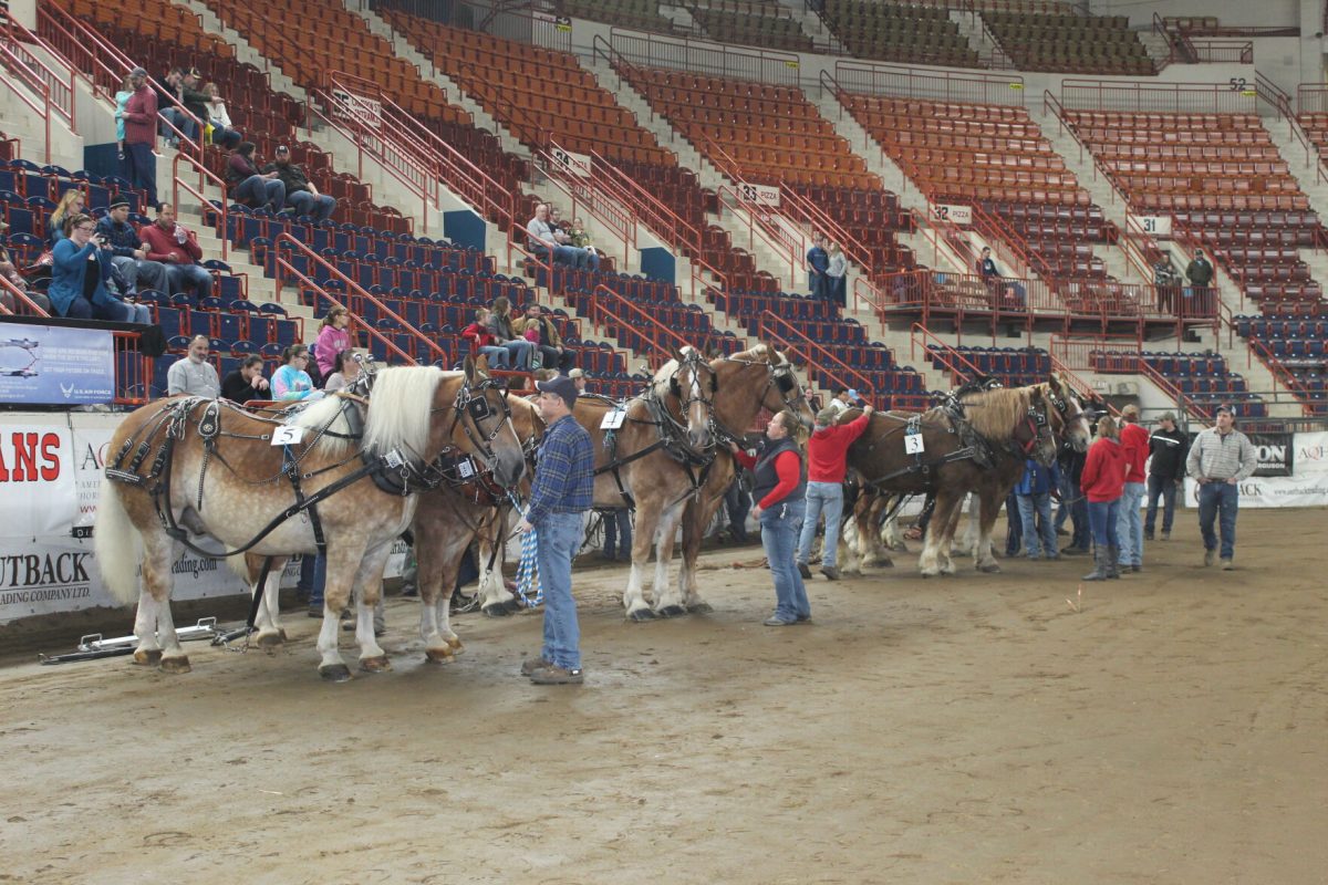 Farm show plows forward with virtual schedule - Observer-Reporter